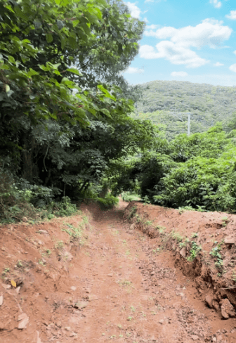 ワイルドアドベンチャーコースの写真