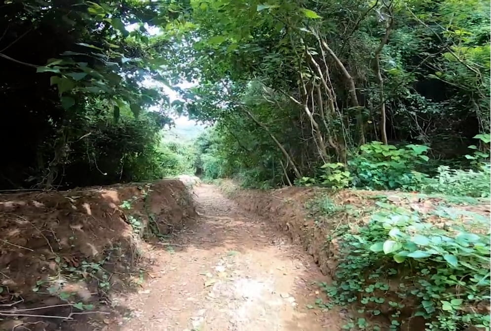 バギーコースの写真